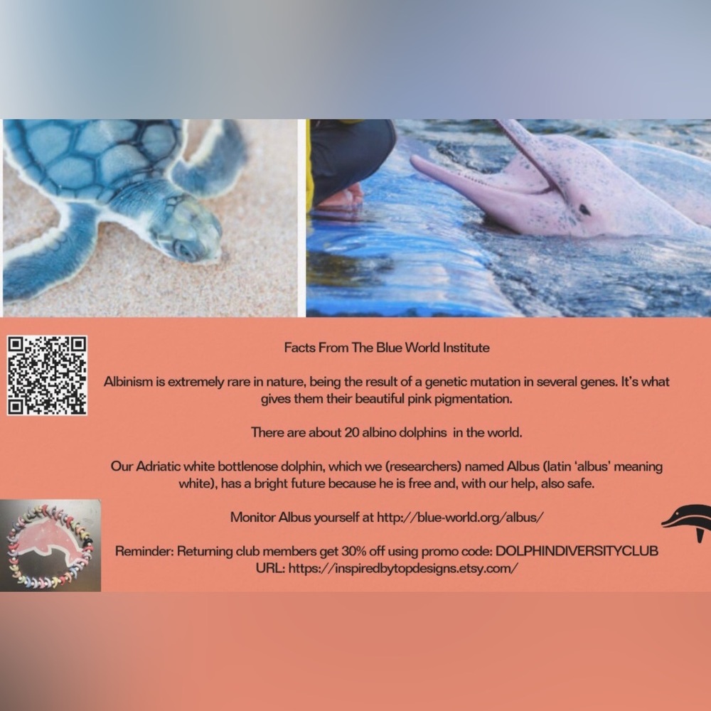 PSA: Handmade item Shipping & Packaging Info ✈️ 🐬